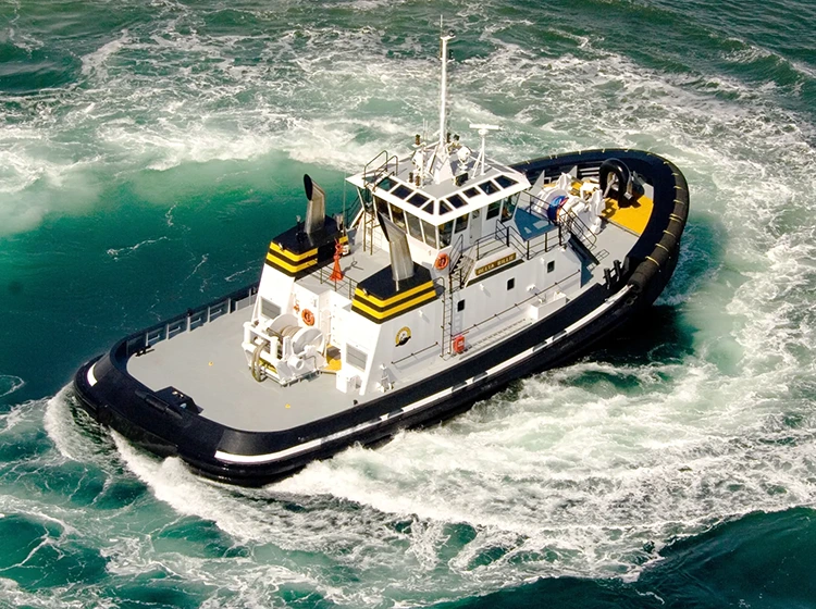 Буксир: «Геркулес» и «Главный диспетчер» воды